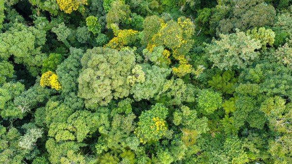 Découvrez comment la magie de pascal montembault transforme vos événements