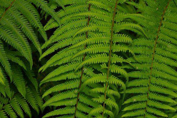 Quels sont les effets des nouvelles politiques environnementales sur l'économie ?